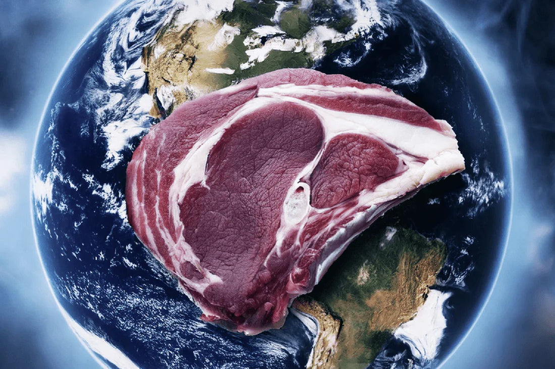 The Impact of Meat Industry on Environment
