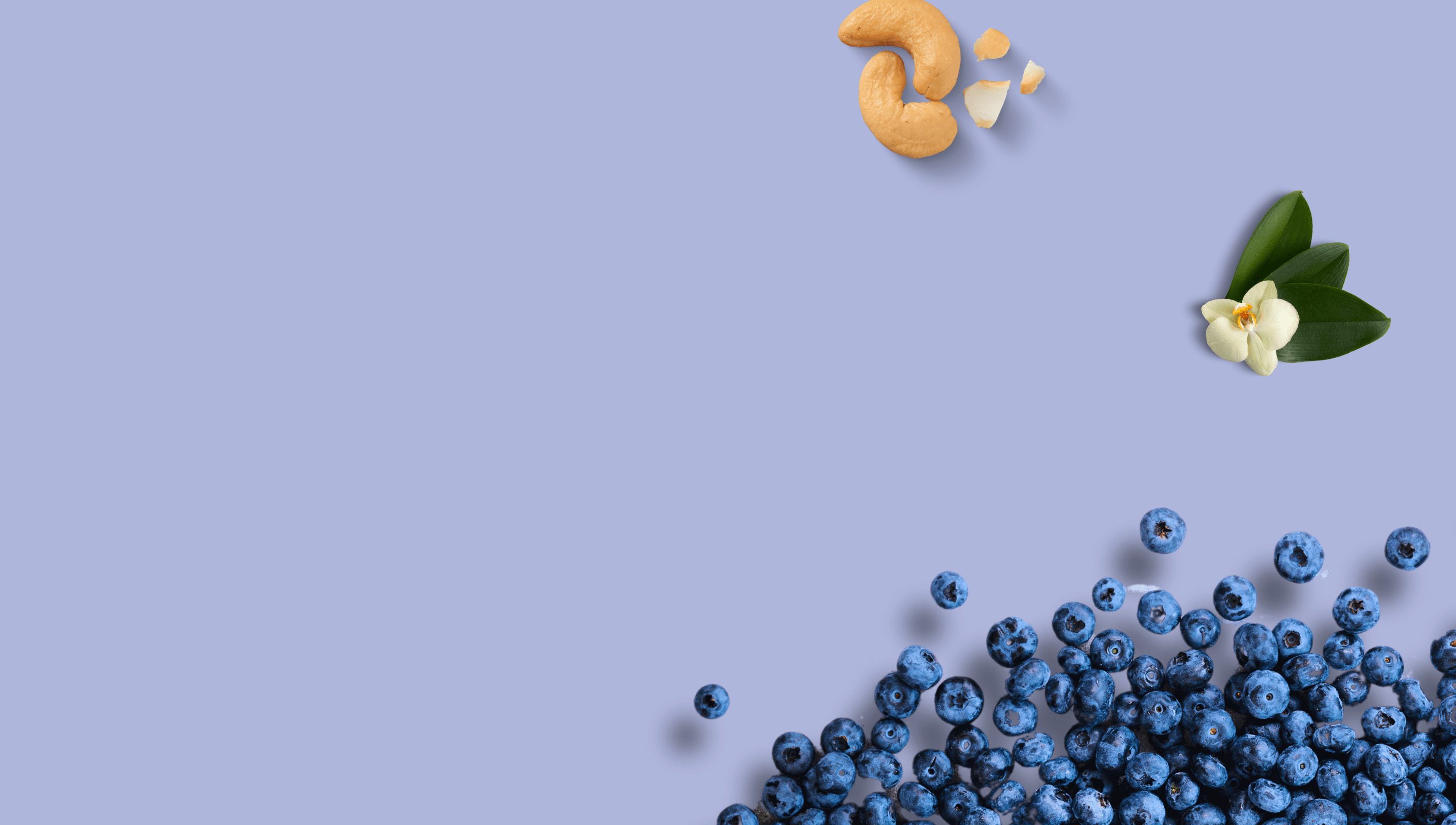 Blueberry_Vanilla_Cashews