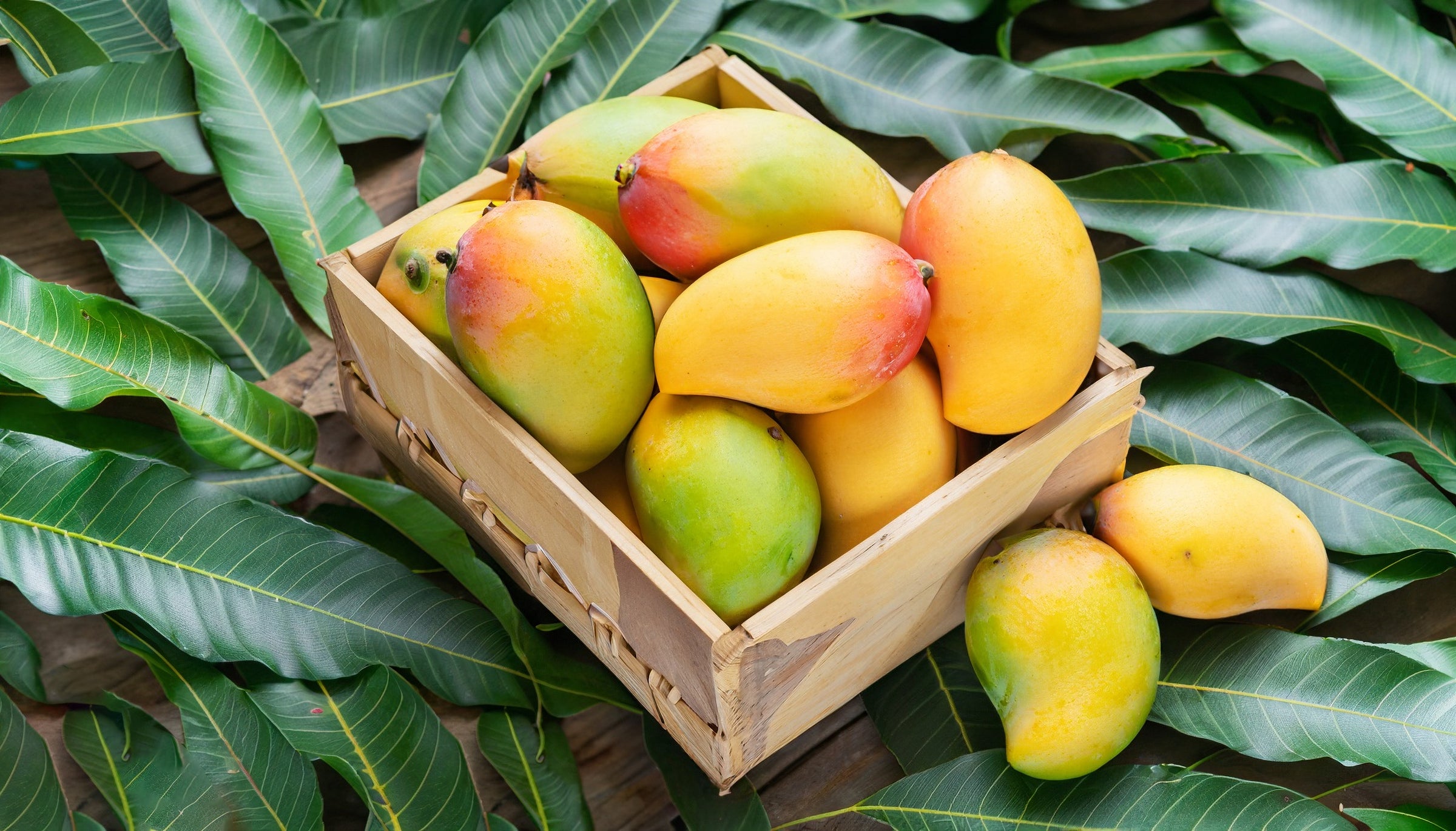 The Mango Masters:  Top 5 Mango-Producing Countries in the World!