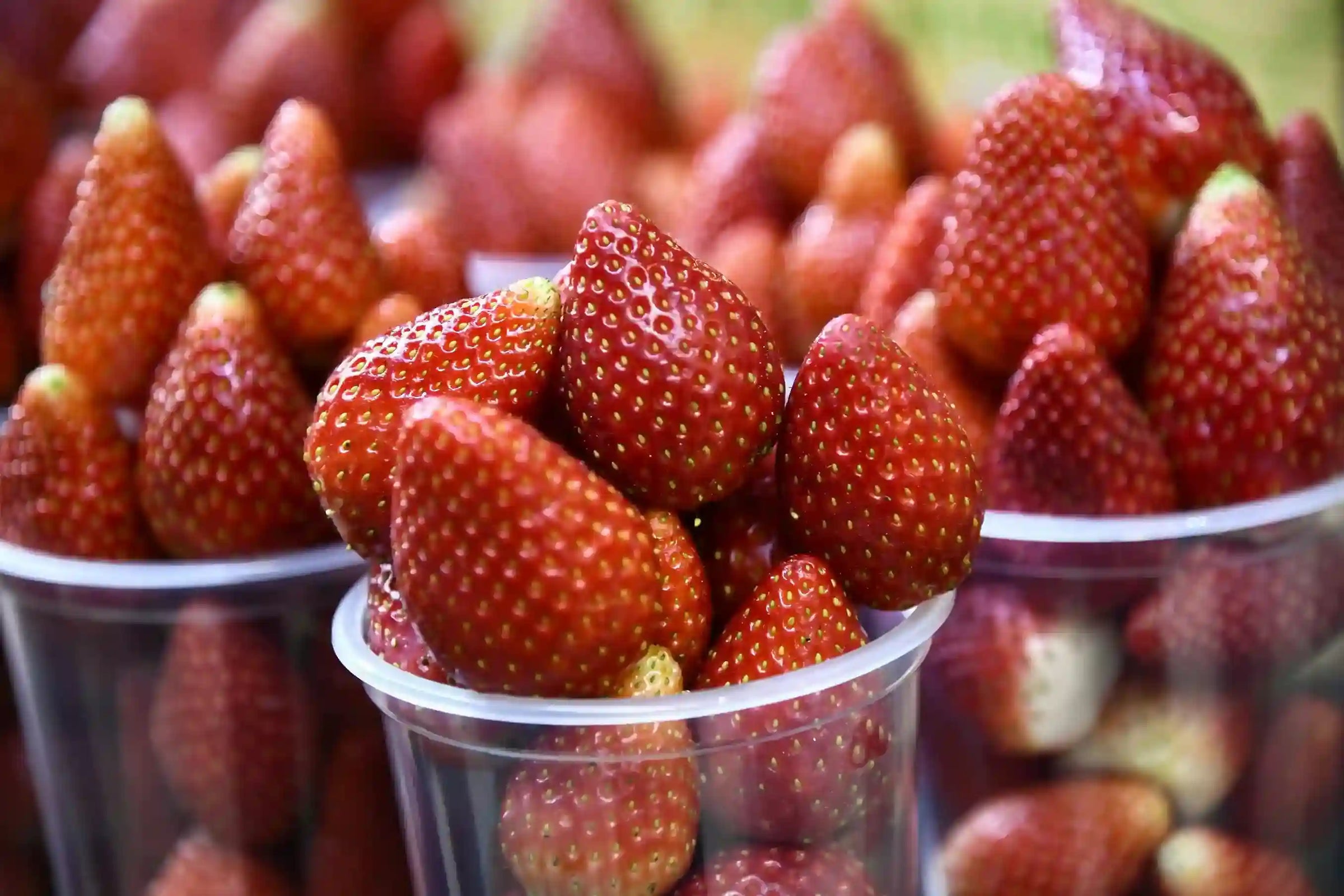 Fruits With Keto Diet – What To Take & What To Avoid?
