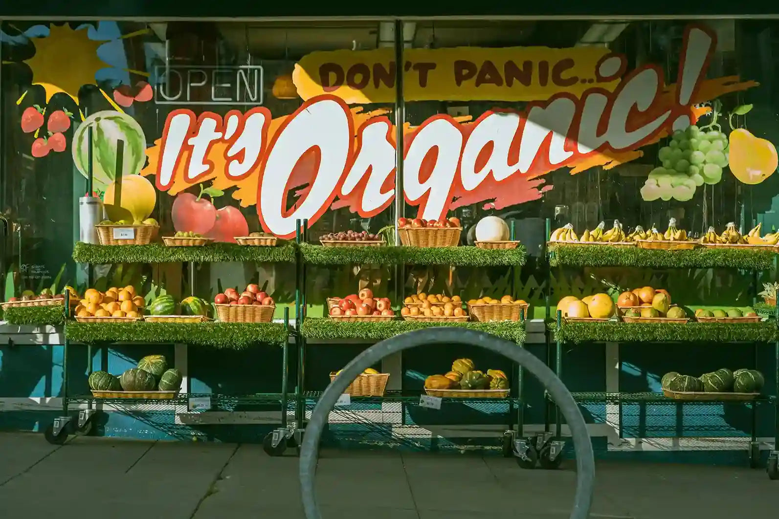 Non GMO vs Organic Foods: What’s the Difference?