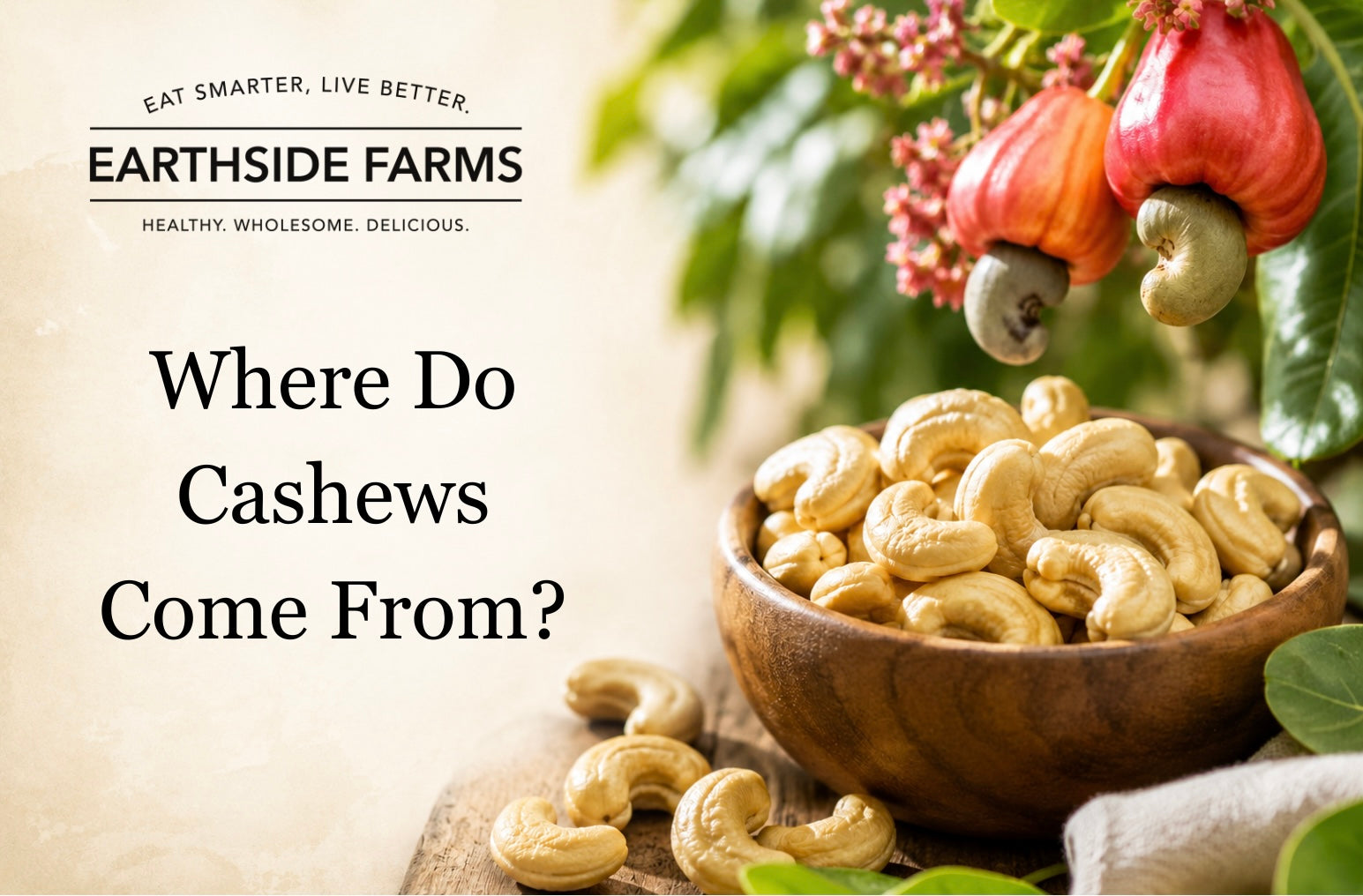 Where Do Cashews Come From?