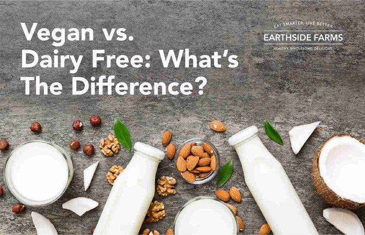 Is Vegan Dairy Free? - What's The Difference – Earthside Farms
