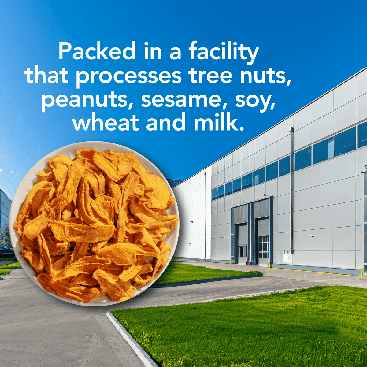 Bowl of chili lime dried mango slices with facility allergen notice